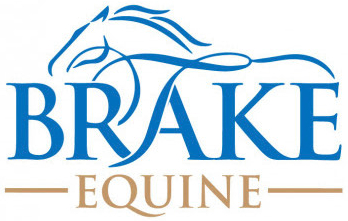 Brake Equine